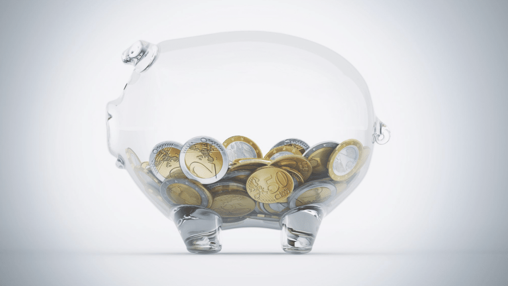 Pripreme za uvođenje Eura